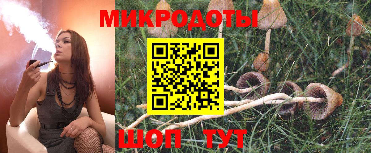 Псилоцибиновые грибы мицелий Кольчугино